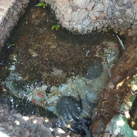 Apartment Atar Ciftligi Doga Evleri