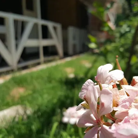 Apartment Atar Ciftligi Doga Evleri Marmaris